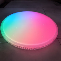 Plafonnier LED Moderne Rond à Montage en Saillie 24W 18W 13W 9W 6W avec Télécommande et Cache en Acrylique pour Salon