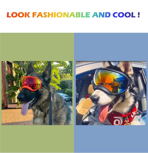 Gafas de Sol para mascotas con protección ocular a la moda con correa ajustable, gafas para perros con protección UV - Product Image 5