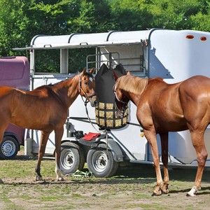 Free sample Wholesale Horse <b>Hay</b> Bale Bag for Horses <b>Hay</b> <b>Feeder</b> Storage Bag Feeding Supplies Organizer CasesB - Product Image 3