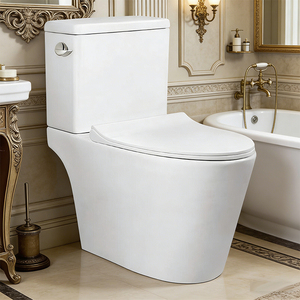Fabriqué en Chine, facile à nettoyer, surface émaillée, toilette à haute résistance thermique avec réservoir intégré, à prix avantageux - Product Image 4