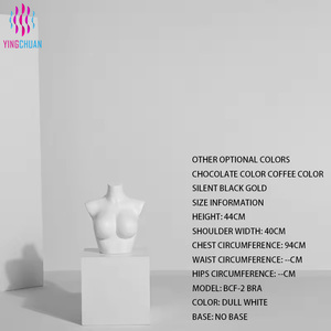 Maniquí <span class=keywords><strong>de</strong></span> Medio Cuerpo Femenino con <span class=keywords><strong>Busto</strong></span> y Cadera en Color Sólido Personalizable para Exhibición en Escaparates <span class=keywords><strong>de</strong></span> Tiendas y Boutiques - Product Image 1