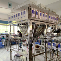 Machines d'emballage multifonctions à têtes multiples pour le remplissage de granulés de grains de café