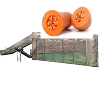 Séchoir à bande continue pour citrouilles de grande taille, déshydrateur portable pour légumes