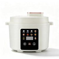 Autocuiseur Électrique Multifonction OEM 110V/220V Cylindrique 3L avec Contrôle Numérique par Minuteur, Cuisson Rapide et Système de Maintien au Chaud pour Hôtels et Usage Domestique