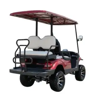 2seats 4 seats lifted golf car A617.2+2G for family use