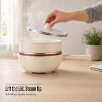 Cuisinière électrique multifonctionnelle de haute qualité et très demandée, 4,5 L, 450 W, Hoyt, vente en gros, antiadhésive, directement de l'usine