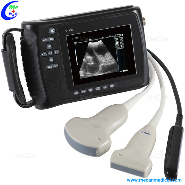 Digital C-Arm Imaging System HM-308