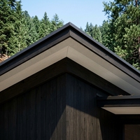 Buitengevelbekleding Multi Fiber Cement Verticale Verbindingsplaat Geventileerd/Niet-geventileerd Groefdiepte Bekleding Brandwerende Keukenbekleding
