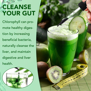 Acentiallabs Organik Cairan Klorofil Detoksifikasi Pembersih Tetes Cair Penurun Berat Badan Grosir Cairan Klorofil - Product Image 6