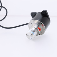Bomba de engranajes eléctrica de acero inoxidable de alta viscosidad de 40W con accionamiento micro magnético para productos químicos y medición, con motor BLDC