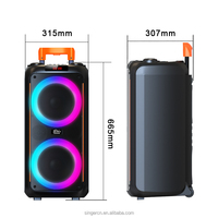Altavoz Bluetooth Portátil para Exteriores con Luces RGB, Sonido, Bajos, Karaoke, PartyBoost 710, Party Beat, con Ruedas
