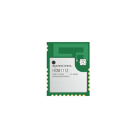   Module BLE 5.3, boîtier LGA, HCM111Z avec codec audio intégré et Cortex M3 48 MHz pour appareils IoT avec antenne PCB