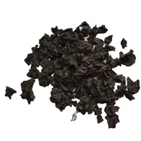 イネダイブル乾燥ブルガリアinquinans真菌黒ブルガー黒ゼリードロップ販売