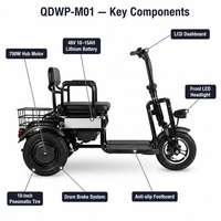 Scooter électrique à 3 roues, nouveau design, pliable, tricycle pour personnes handicapées, 48V 350W/700W, double moteur, lithium 15Ah, suspension intégrale, télécommande