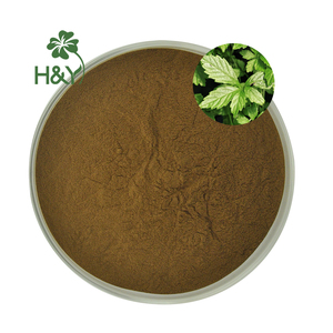 Jiaogulan Gypenoside 98% Extrato Gynostemma Gynostemma Pentaphyllum Cápsulas - Product Image 3