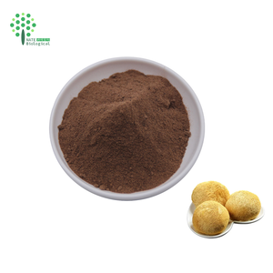Lions Crinière Champignon Double Extrait Triterpènes 4.0 Hericenones Erinacines Poudre En Vrac - Product Image 2