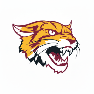 INSIGNIA DE BORDADO HECHO A MÁQUINA BORDADO HIERRO EN PARCHE DISEÑO DE PARCHE DE CALIDAD PREMIUM - Product Image 1