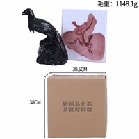 Modèle de Restauration Fossile Archaeopteryx en PVC Écologique – Outil Pédagogique Anatomique pour l'Enseignement Primaire et Secondaire (3 ans et plus)