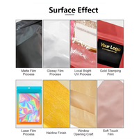 Bolsa de Plástico Personalizada de Polietileno PE PET Transparente Mate con Cierre Reutilizable para Juguetes y Herramientas