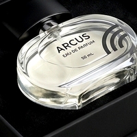 Boîte à parfum rigide de luxe sur mesure, style livre blanc magnétique, avec insert intégré, pour emballage cadeau de parfum