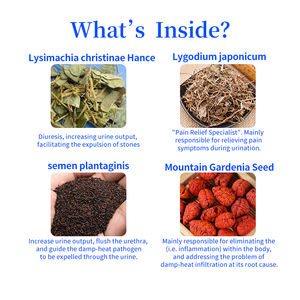 Suplemento Masticable Suave con Ingredientes Naturales para <span class=keywords><strong>Gatos</strong></span> y Perros, para Infecciones del Tracto Urinario y Eliminación de Calor y Humedad, Sin Granos - Product Image 3