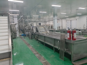 <span class=keywords><strong>เครื่อง</strong></span>คั้นน้ำผลไม้<span class=keywords><strong>สด</strong></span>อัตโนมัติประสิทธิภาพสูงสำหรับน้ำส้มและมะม่วงแบบสกัดเย็น - Product Image 3