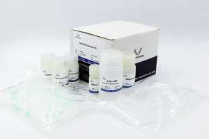 Kit di Estrazione di RNA Totale EP014-200T per la <span class=keywords><strong>Ricerca</strong></span> - Product Image 2