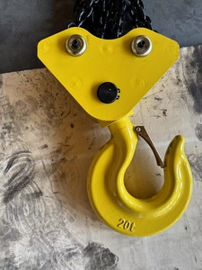 Hiện đại của nhãn hiệu hoạt động chuỗi khối hoist thiết kế mới pully hoist cho <span class=keywords><strong>Toyo</strong></span> 20 tấn - Product Image 5