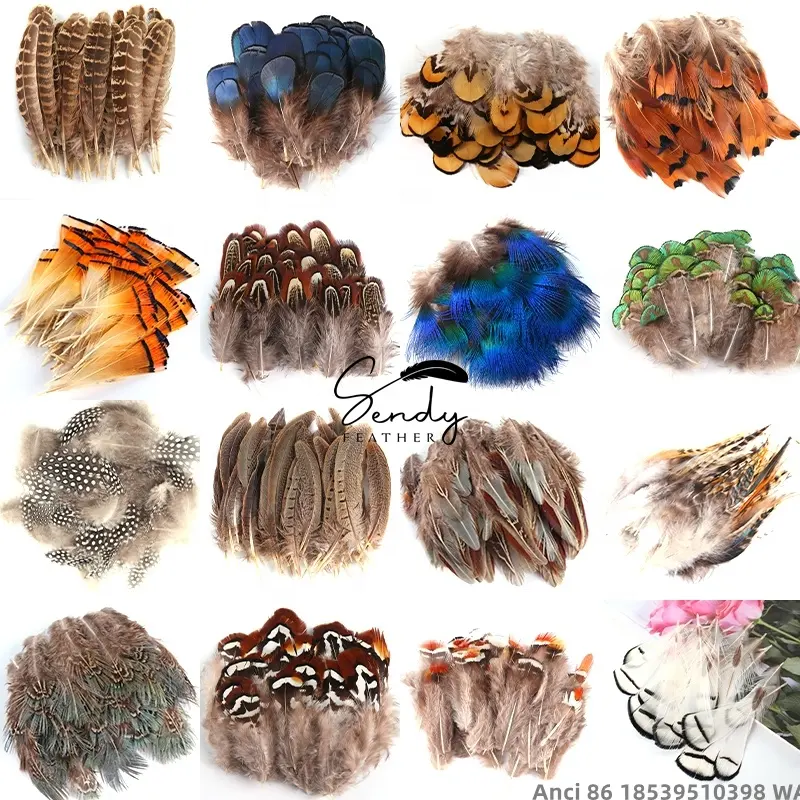Wholesale various natural loose small pheasant plumage washed tiny craft pheasant feathers for DIY decor dream catcher
