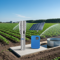 Pompe à eau solaire submersible pour forage, 4/6 pouces, 530V, 4000W, 88M, 36m³/h, pour système d'irrigation - Bombas de Agua Sumergibles Solares