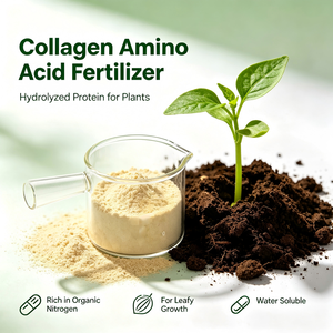 Fertilizante <span class=keywords><strong>de</strong></span> Colágeno Hidrolizado <span class=keywords><strong>de</strong></span> Grado Agrícola, Bioestimulante Orgánico <span class=keywords><strong>de</strong></span> Aminoácidos y Proteínas para <span class=keywords><strong>Cultivos</strong></span> <span class=keywords><strong>de</strong></span> Frutas y Vegetales, Venta al Por Mayor - Product Image 1