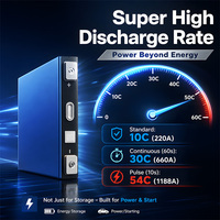 Batería Prismática LiFePO4 Ultrafina de 20 mm, 22 Ah, 3.2 V, Ligera, 10000 Ciclos, 643 g, para Herramientas Eléctricas, Cortacésped, Bicicleta Eléctrica