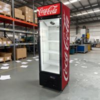 Réfrigérateur vertical pour boissons gazeuses à 1 porte, éclairage LED, refroidissement direct, professionnel, personnalisé, pour bar/bière, certifié Energy Star