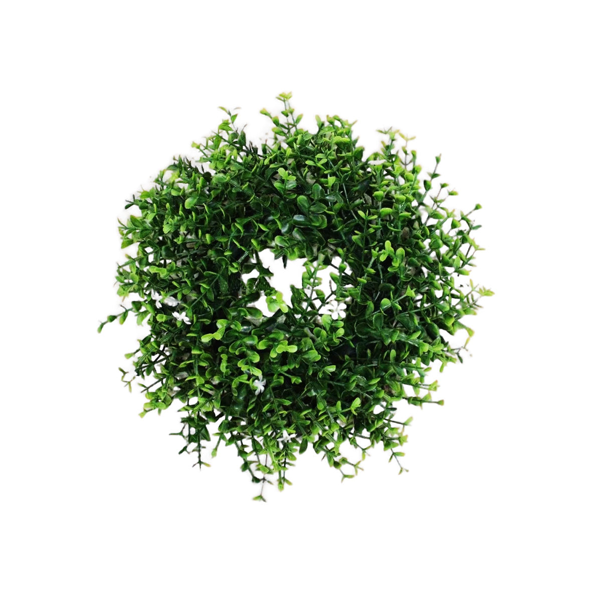 สีเขียว