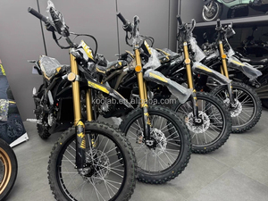 Nueva Motocicleta Todoterreno Ultrabee 2025, Ultra 21KW 74V 60ah, Alcance de 140KM, 100KM/H, Disponible en Europa y EE. UU., Stock Disponible - Product Image 6