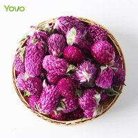 Fleur d'amarante globe séchée naturelle de haute qualité, Gomphrena Globosa, pour le thé aux fleurs, le savon, la fabrication de bougies et d'artisanat