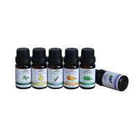 Vente en gros de diffuseurs de pierres écologiques en boîte de 10 ml, huiles essentielles fraîches à la lavande, au citron et à l'orange, désodorisants aromatiques pour la maison et la voiture, 80%