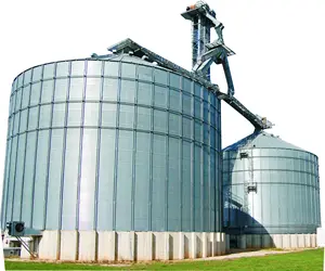 Grain Silo With Solid Steel Structure For Sale