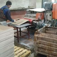Machine à découper les carreaux BT800I, coupeur de carreaux, mosaïques pour plinthes, céramique, granit