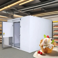 304 acier inoxydable chambre froide stockage crème glacée viande légumes boeuf utilisé marcher dans le congélateur avec pour détail Restaurant usine