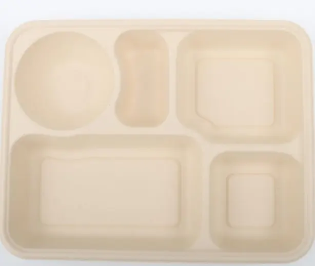 Customizable multi-mesh disposable sushi plate  compostable pulp packaging box  bagasse ecological and degradable