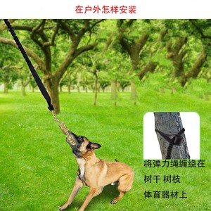 Jouet en corde de coton rayé pour chien, pour tirer à la corde, à mâcher, pour jouer à l'intérieur et à l'extérieur - Product Image 4