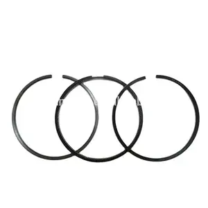 1 Outboard Marine Diesel Engine Spare Parts Piston Ring Lta10 380396