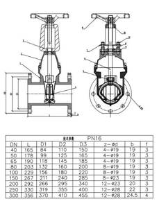Katup api konservasi air katup pintu masuk katup gerbang batang naik besi elastis katup gerbang kursi Z41X PN16 - Product Image 4