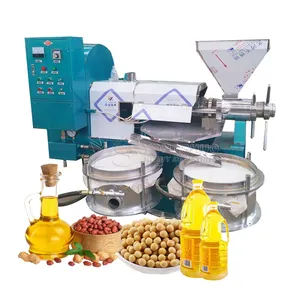 cold oil press pumpkin seed corn sesame black cumin black seed avocado coconut peanut soybean sunflower screw oil press machine