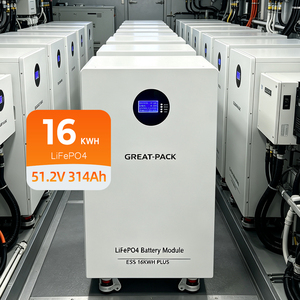 <b>Wall</b> <b>Mounted</b> Power Storage Module 51.2V 16kWh Lithium Battery for Household - Product Image 1