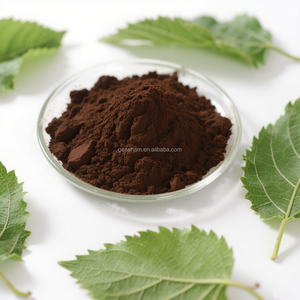 食品グレード10% 天然桑葉エキスMorus Albaハーブ植物エキス粉末状ドラムまたはボトル入り - Product Image 1
