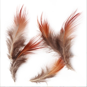 Plume de <span class=keywords><strong>faisan</strong></span> doré rouge de 4 à 8 cm pour les modèles de mouches sèches, nymphes et streamers, pour la pêche à la mouche en truite en ruisseau, lac, eau faiblement lumineuse et boueuse - Product Image 4