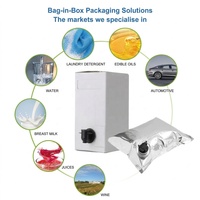 Pochette Bag-in-Box (BIB) avec valve de distribution, sac en aluminium transparent pour jus, vin, huile comestible, emballage alimentaire liquide