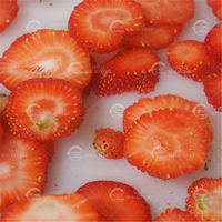 Automatische High Speed Fruit Chips Snijmachine Aardbei Snijmachine Aardbei Chips Maken Machines